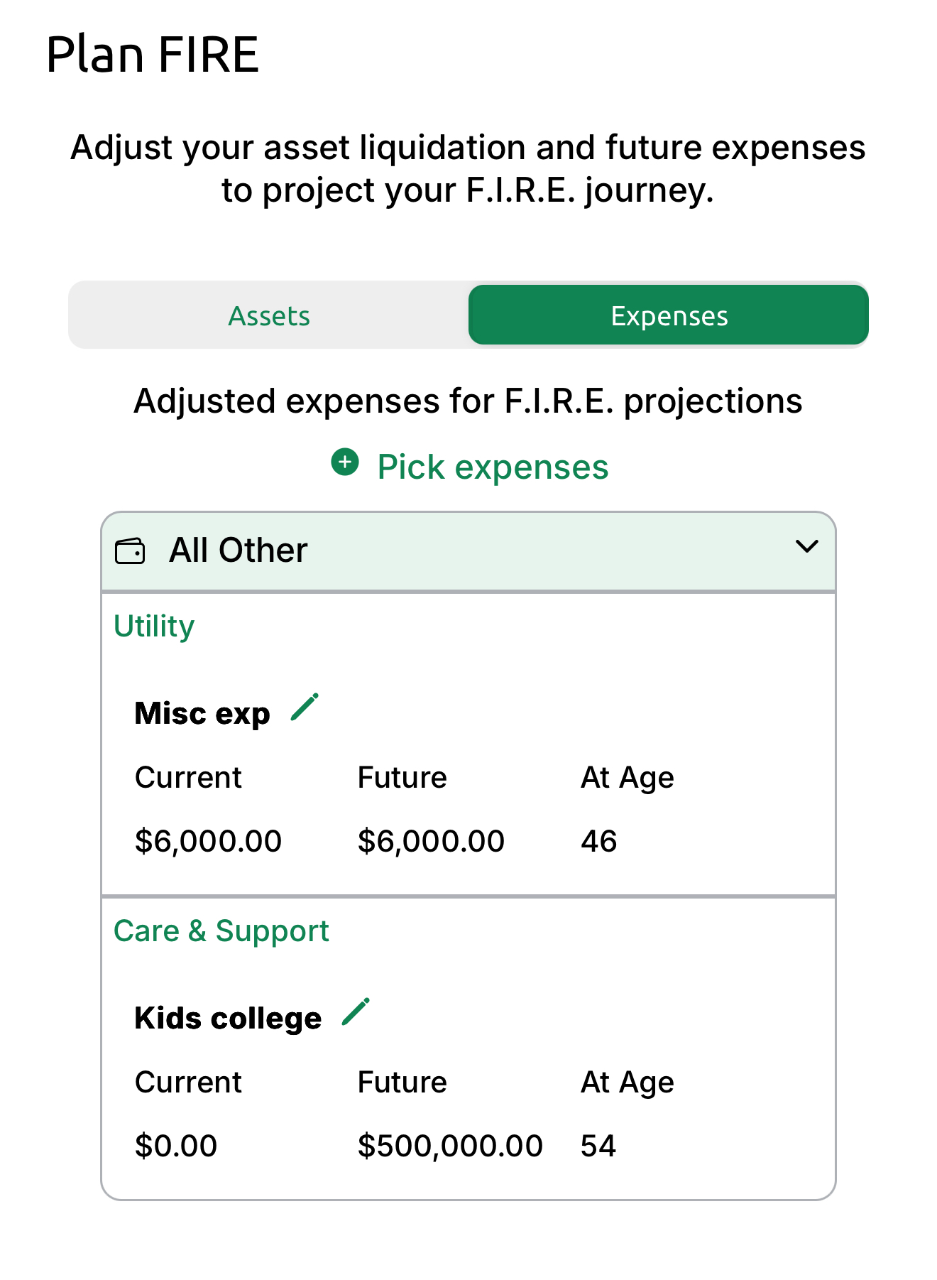 Screenshot of the Plan FIRE feature showing asset liquidation and future expenses projection, including current and future costs for miscellaneous expenses and kids' college funding.
