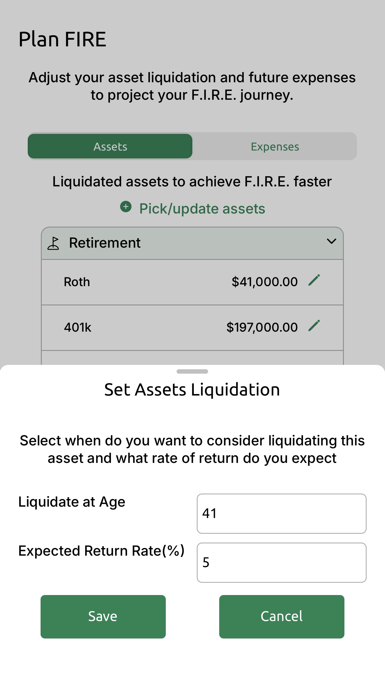 User interface for planning F.I.R.E. journey, showing options to adjust asset liquidation age and expected return rate.