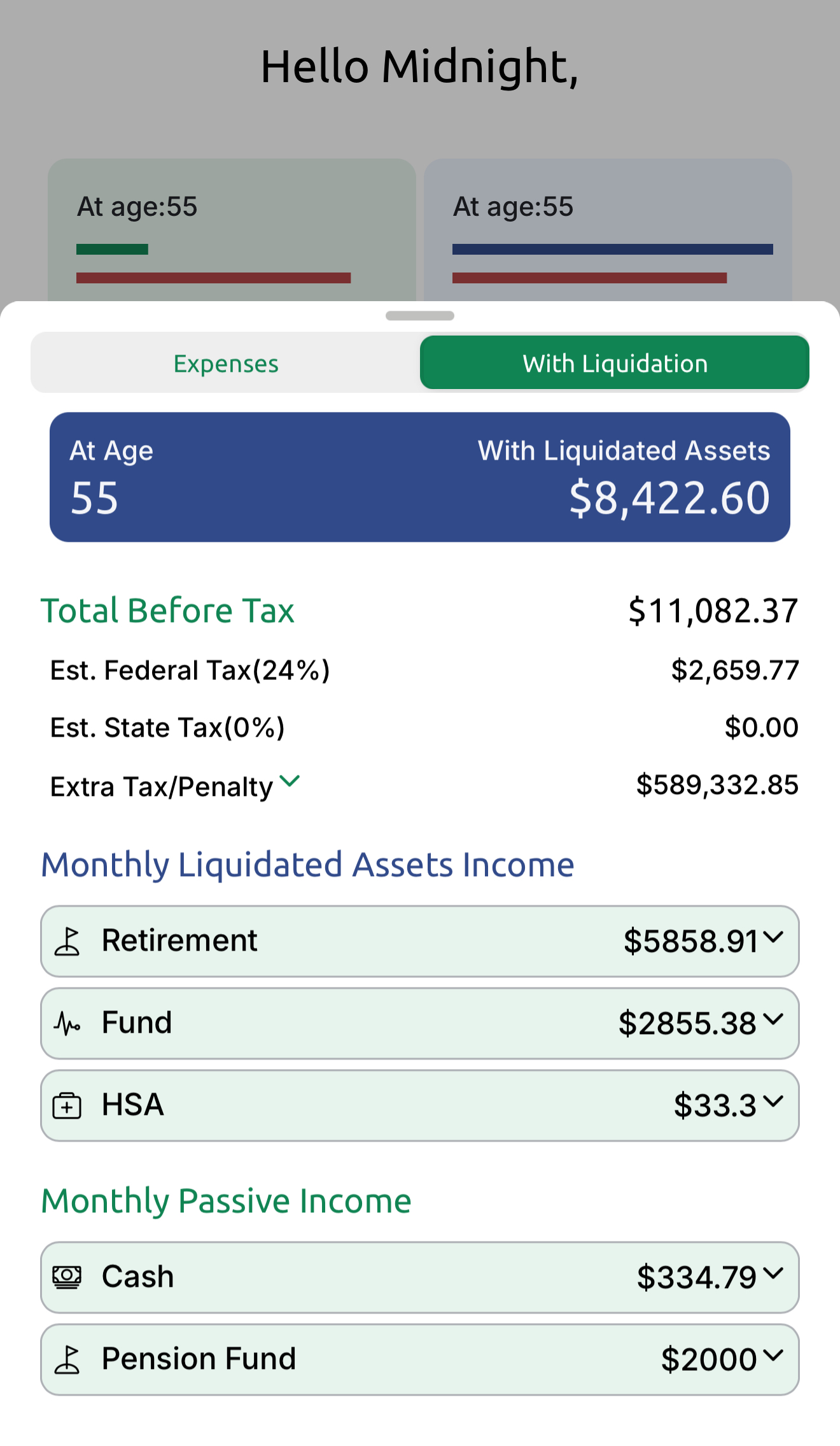 Financial analysis dashboard displaying estimates for retirement income, taxes, and monthly expenses at age 55, including both passive income and income from liquidated assets.
